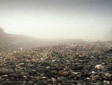 Εκπληκτικό καμουφλάζ από ελεύθερους σκοπευτές (φωτό)